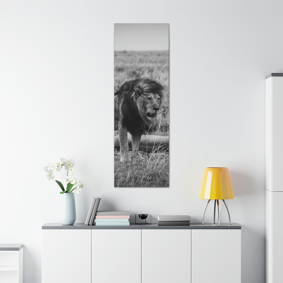 Mating Lions in Black and White - Canvas