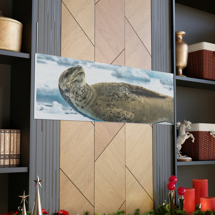 Leopard Seal Relaxing - Canvas