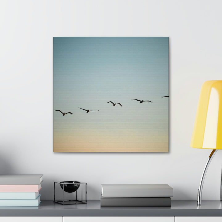 Brown Pelicans in Flight - Canvas