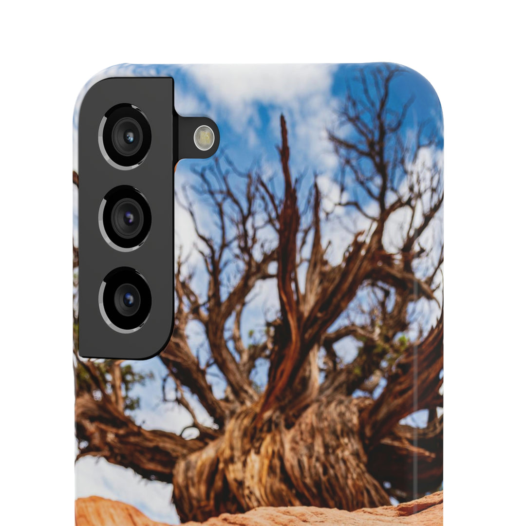 Desert Reach - Phone Case