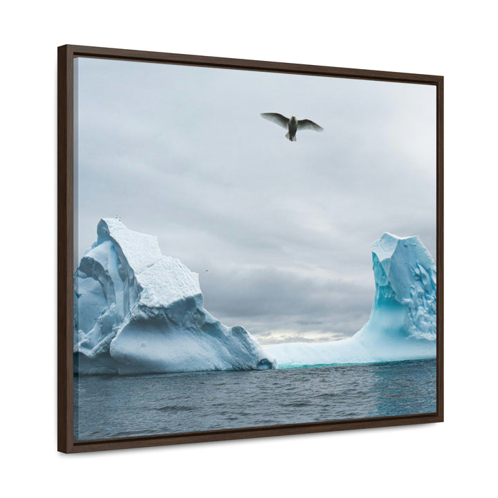 Antarctic Flight - Canvas with Frame