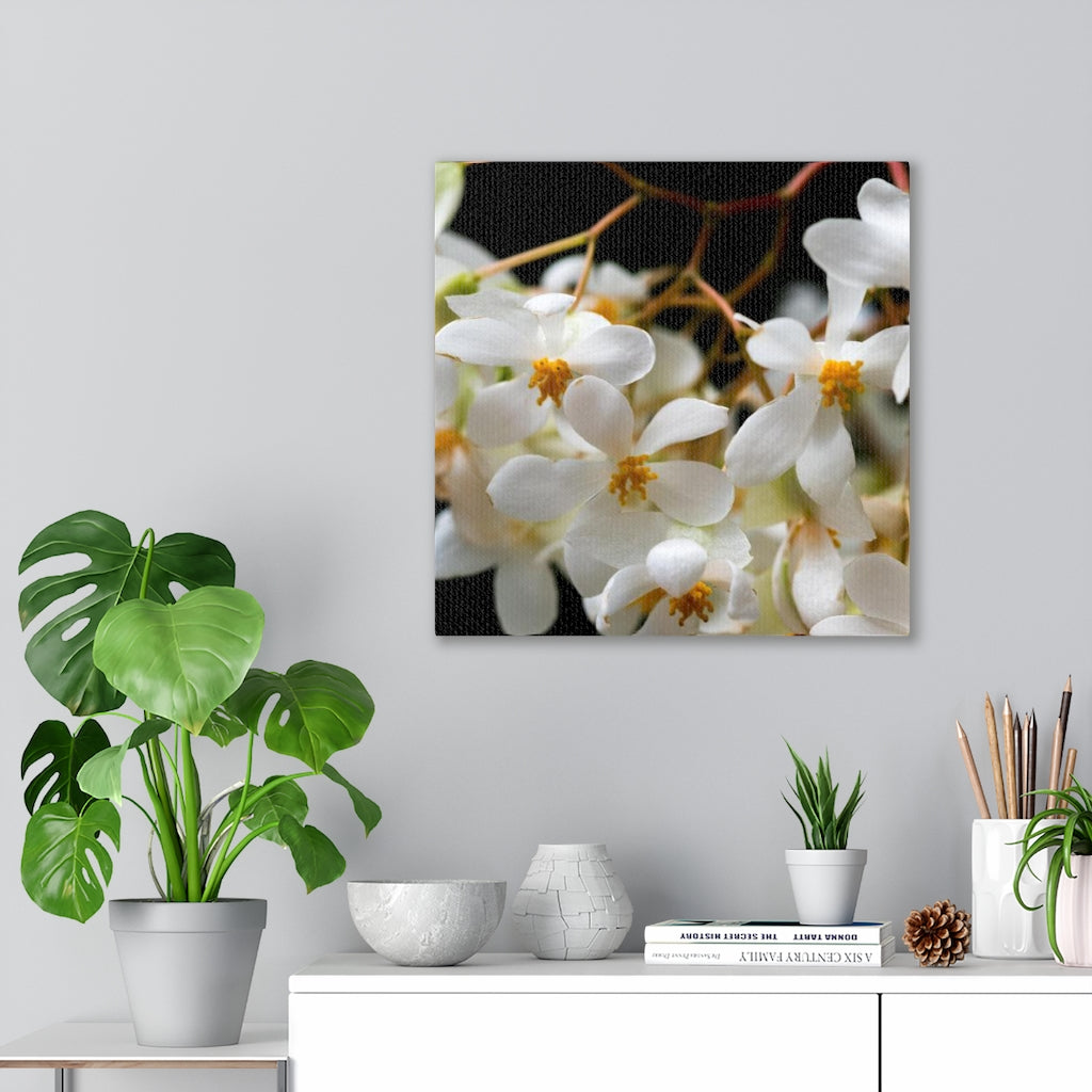 Floral Network - Canvas