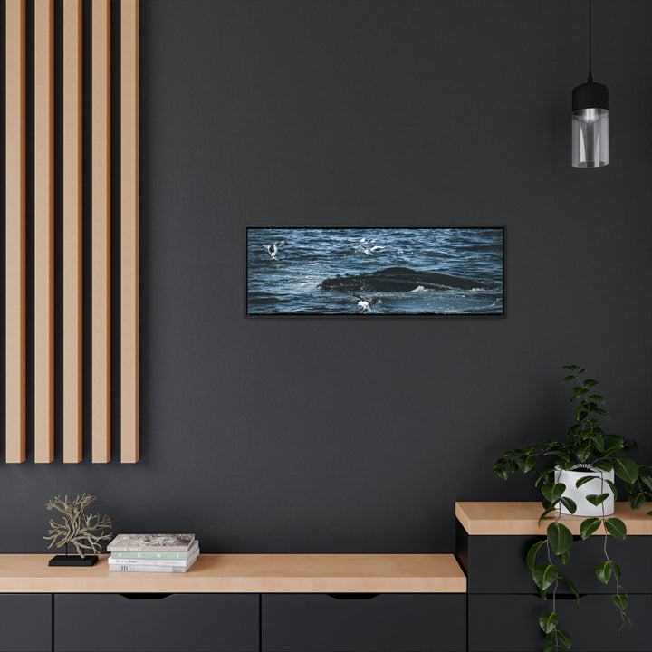 Humpback Hello - Canvas with Frame