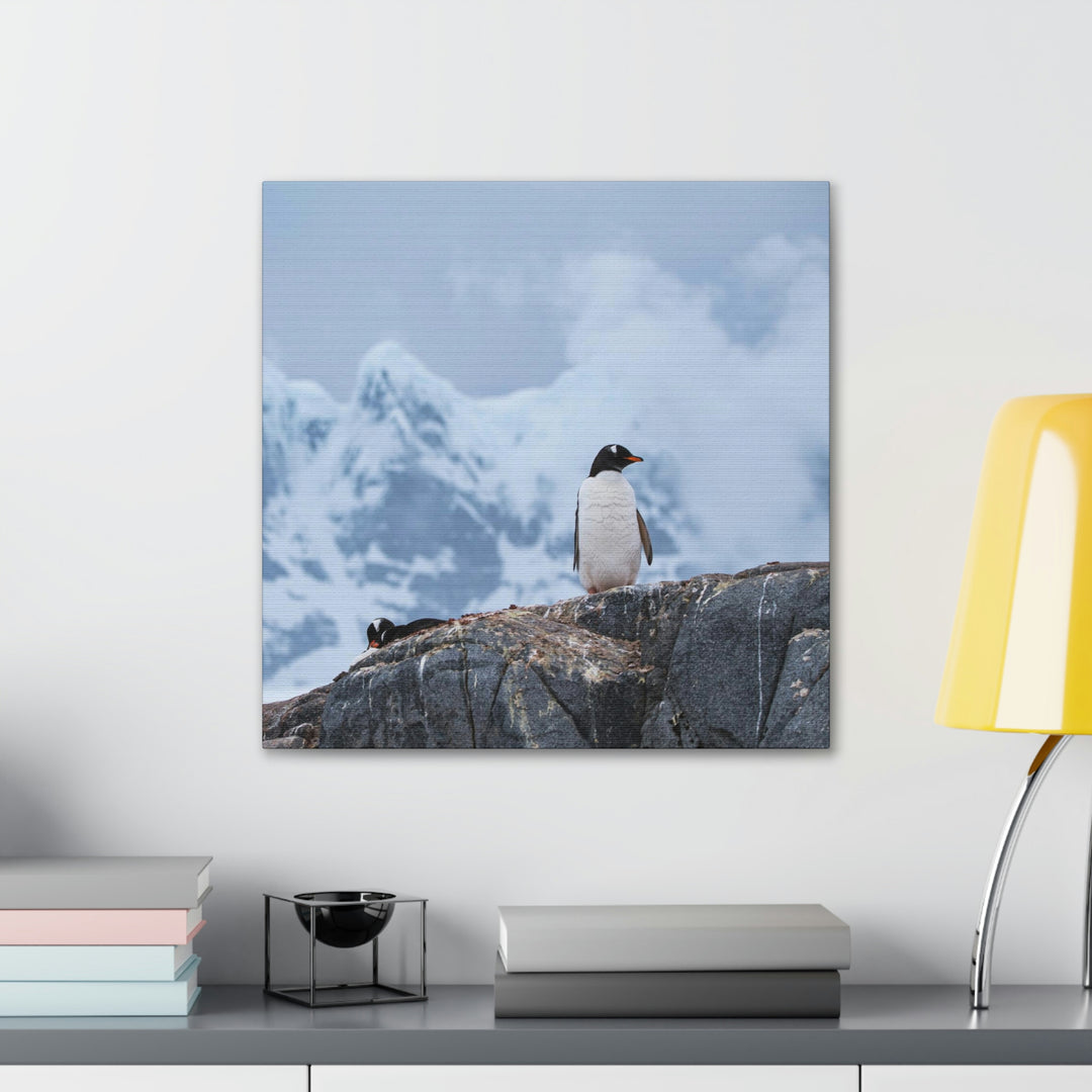 Poised Penguin - Canvas