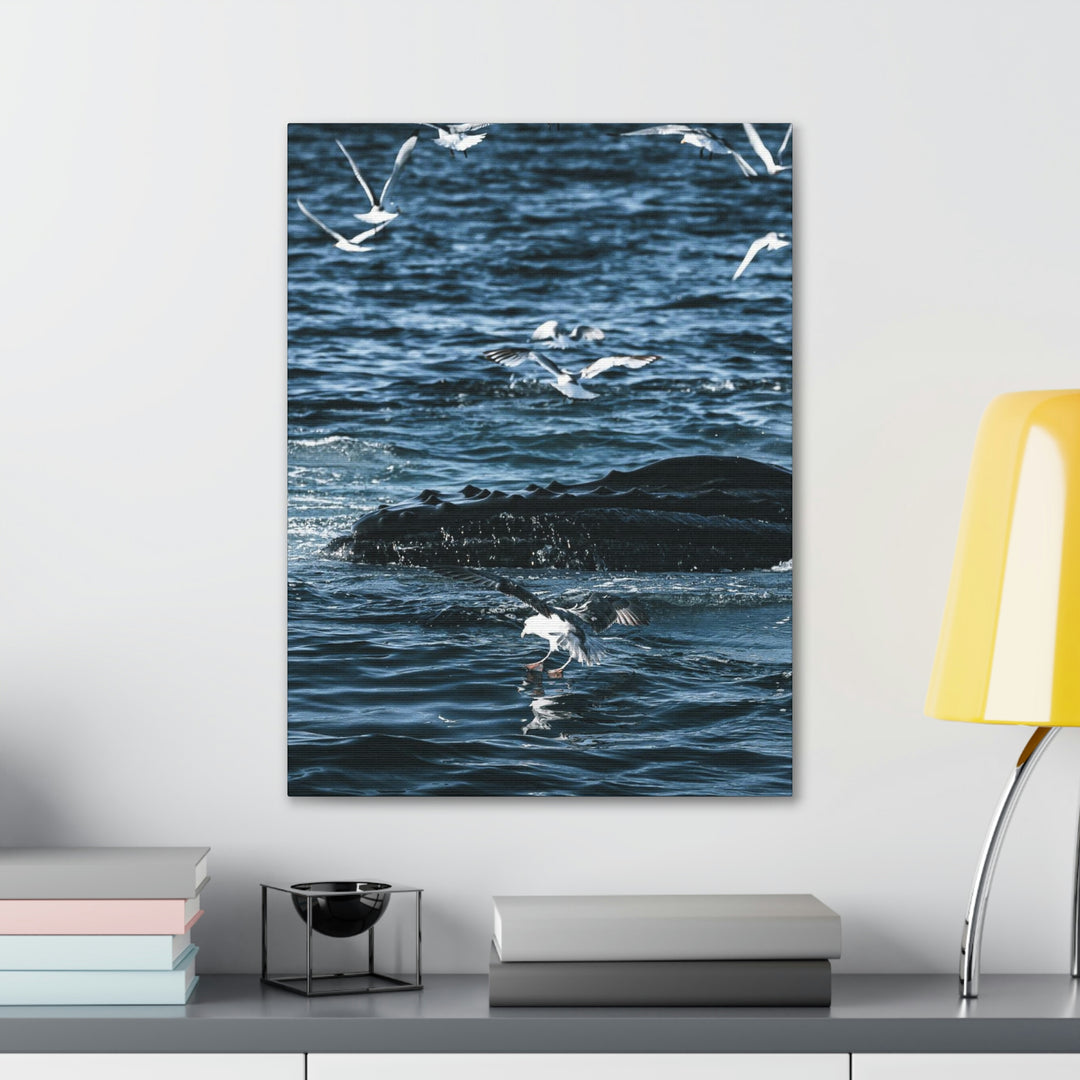 Humpback Hello - Canvas