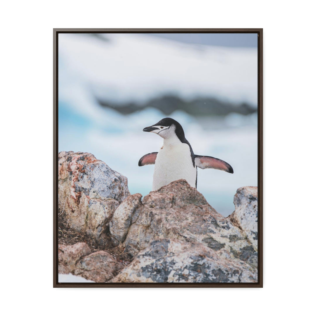 Stretched Penguin - Canvas with Frame