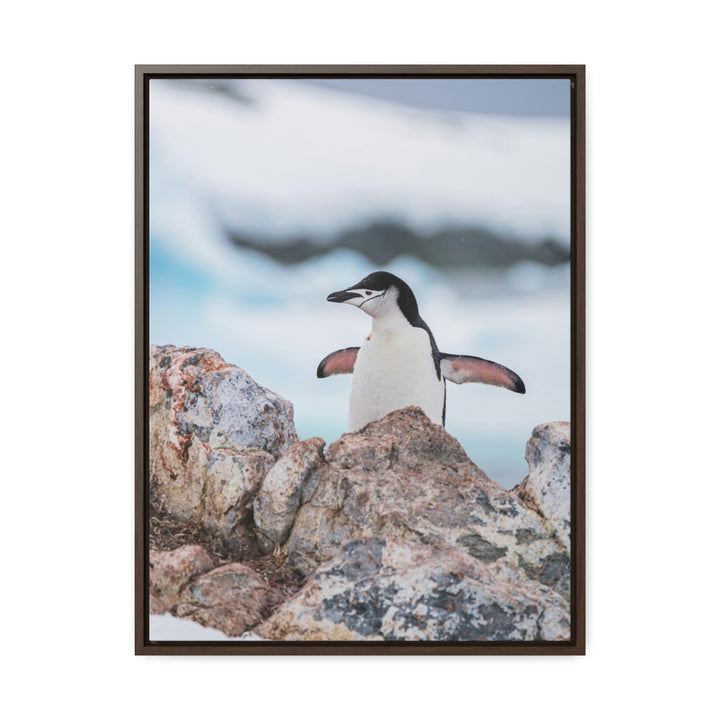 Stretched Penguin - Canvas with Frame