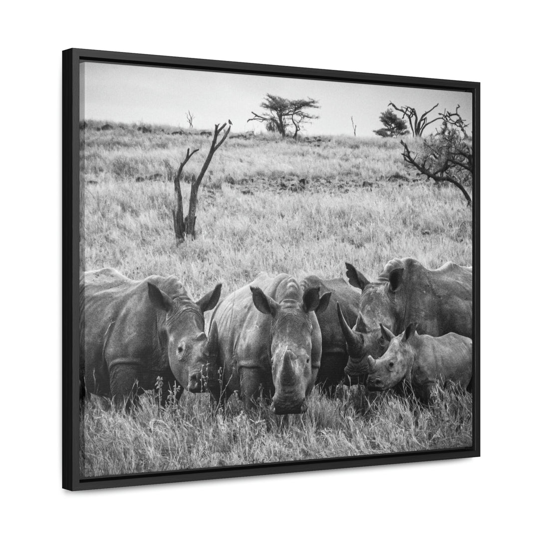 Rhino Family in Black and White - Canvas with Frame