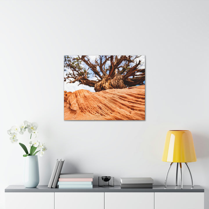 Desert Reach - Canvas