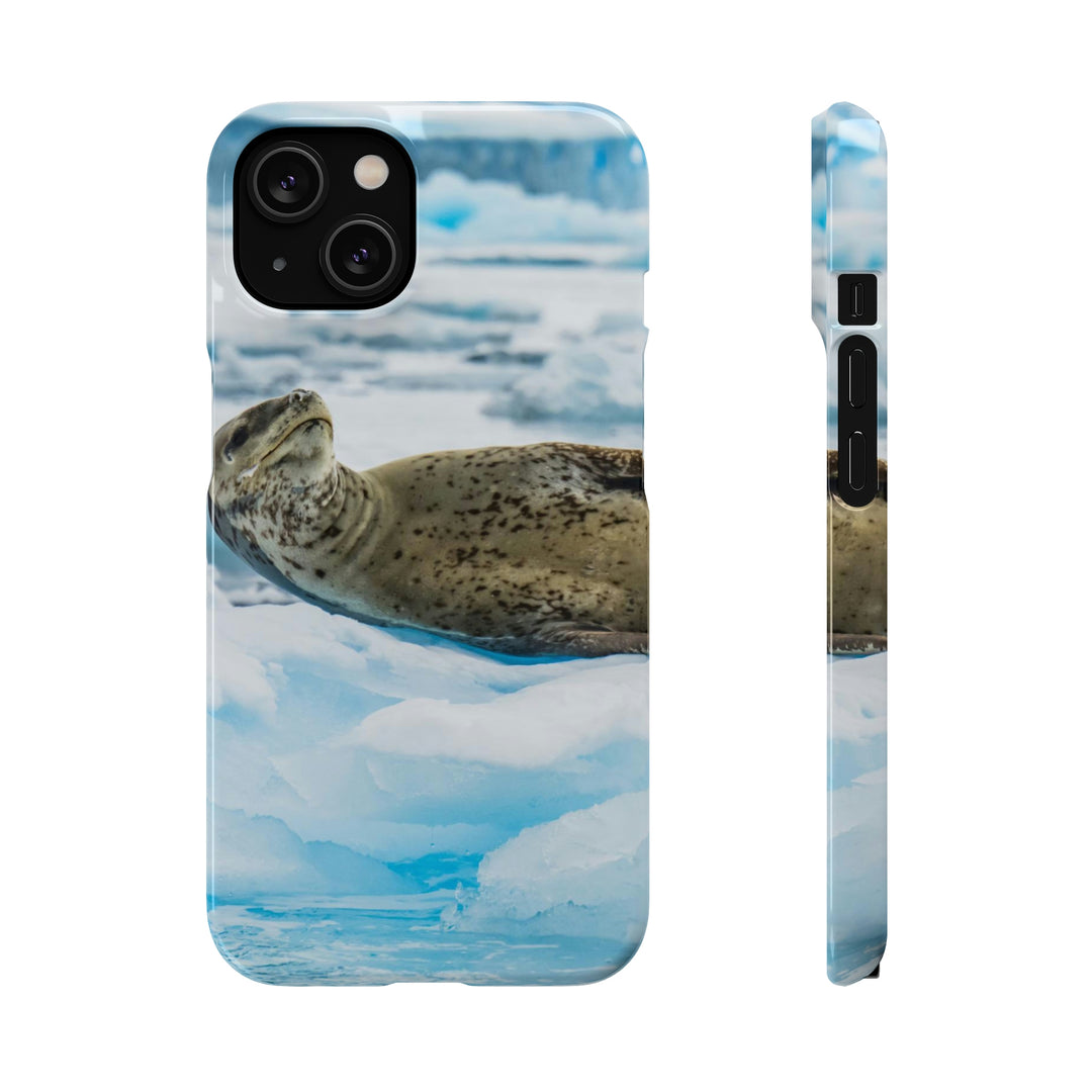 Leopard Seal Relaxing - Phone Case