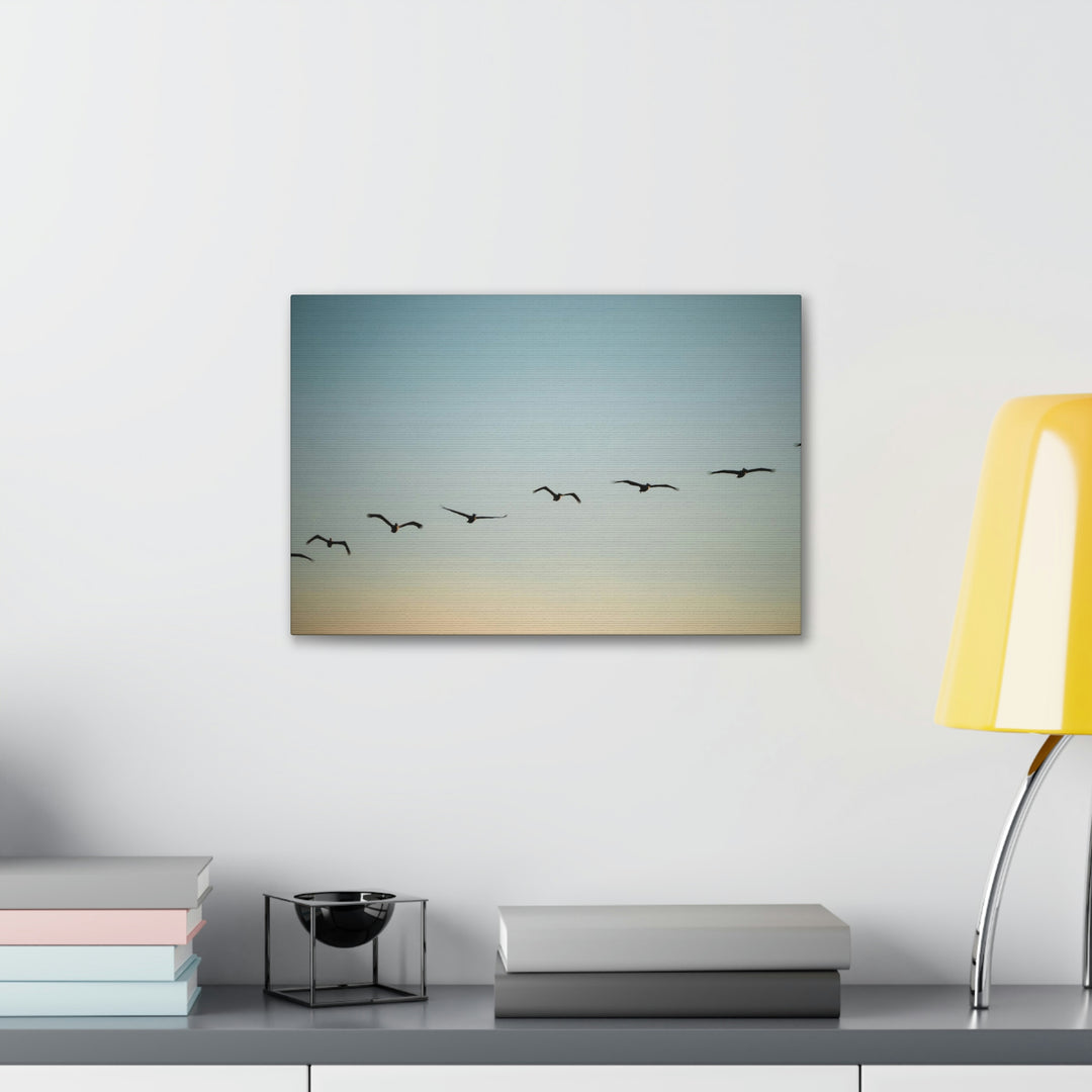 Brown Pelicans in Flight - Canvas