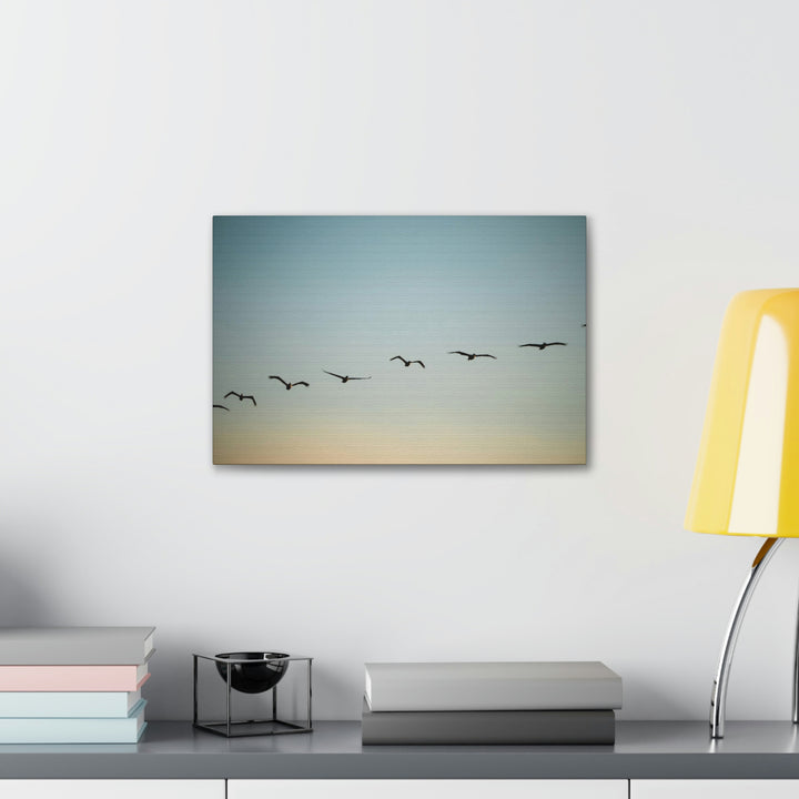 Brown Pelicans in Flight - Canvas