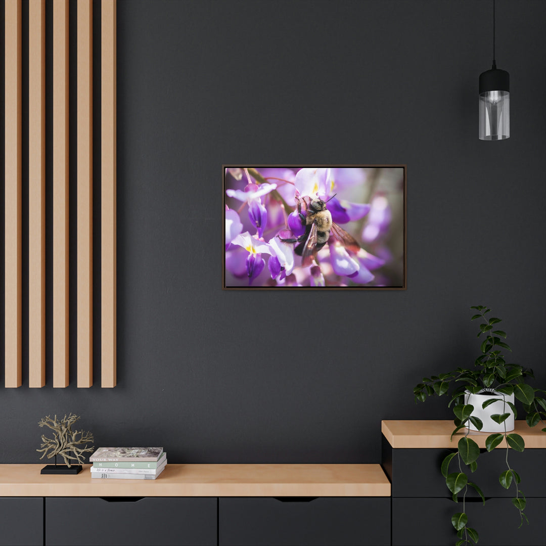 Hungry Visitor - Canvas with Frame