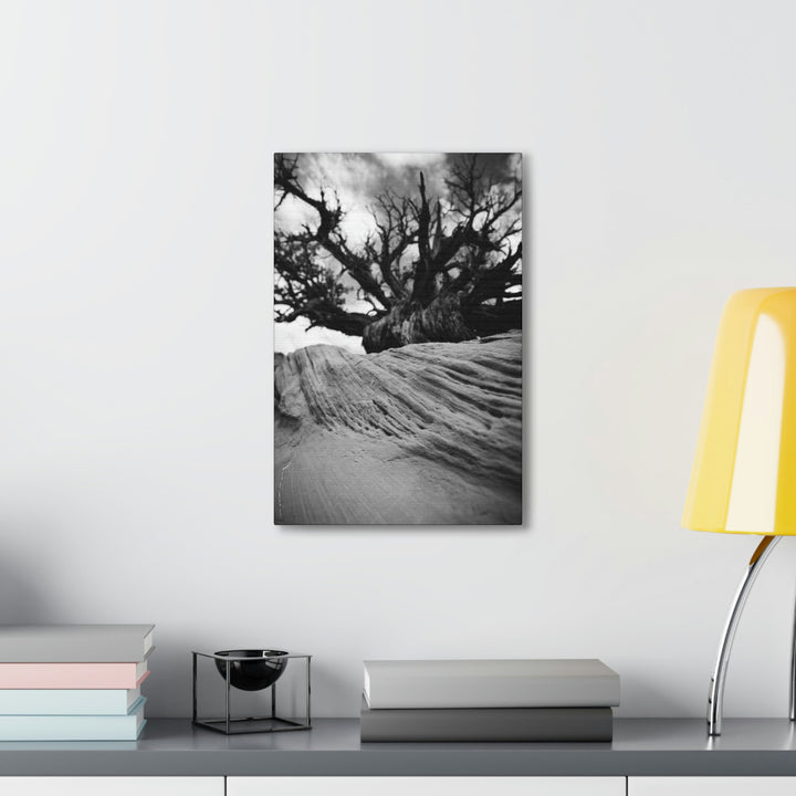 Desert Reach in Black and White - Canvas