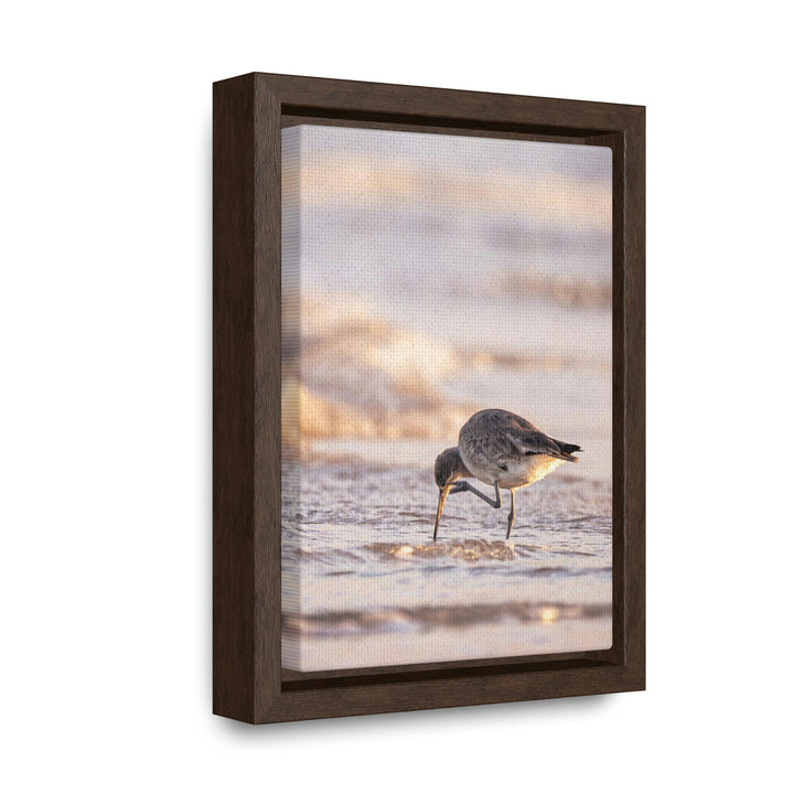 Willet Itch - Canvas with Frame