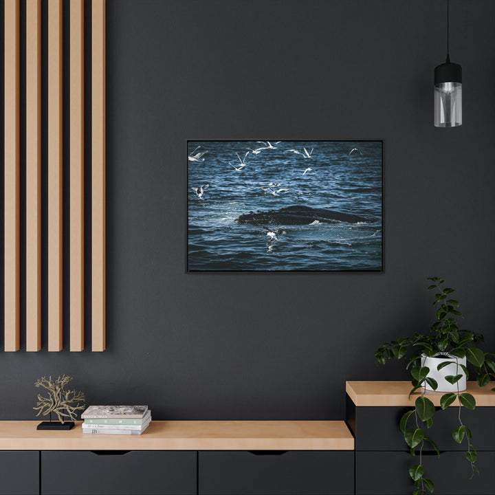 Humpback Hello - Canvas with Frame