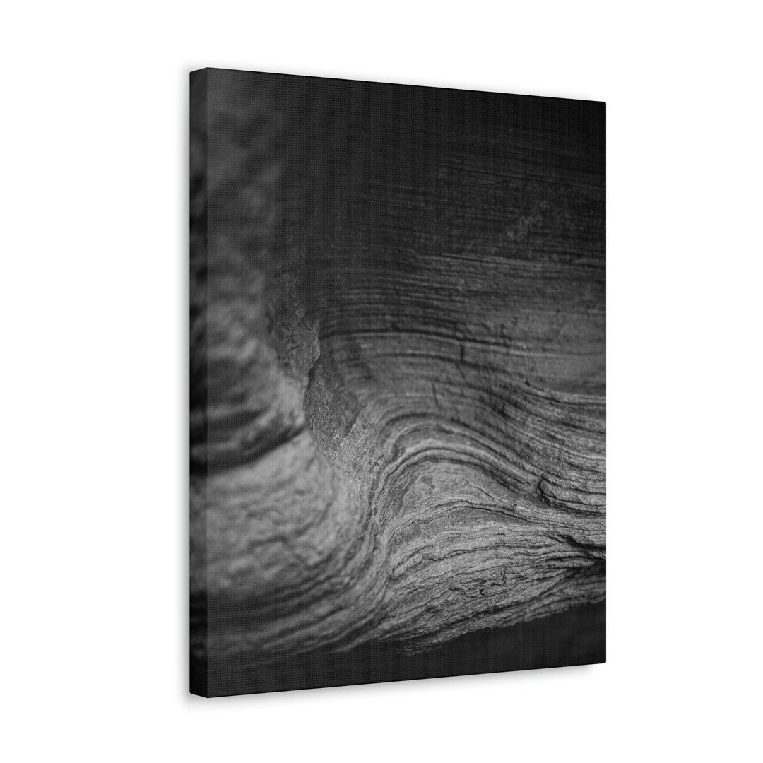 Sedimentary Rock Curves in Black and White - Canvas