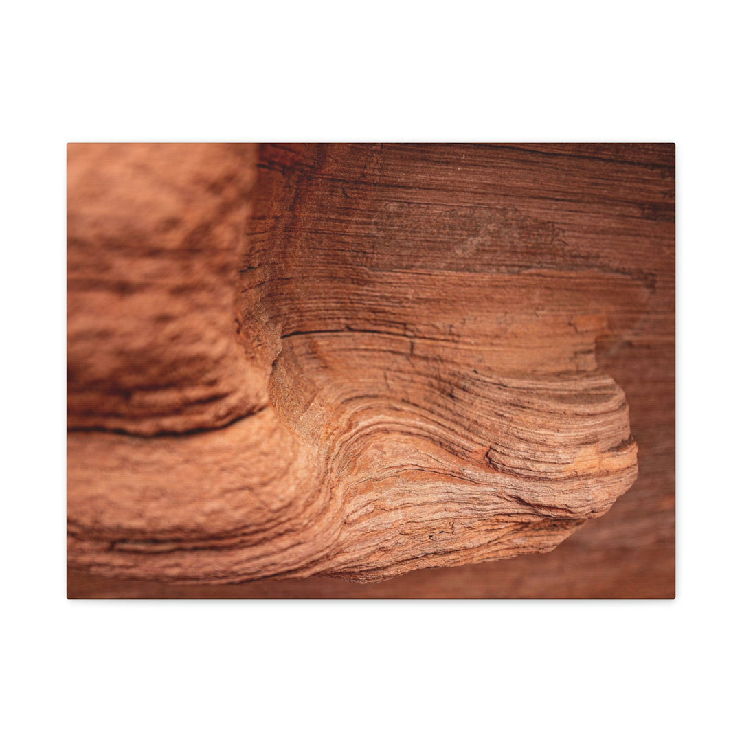 Sedimentary Rock Curves - Canvas