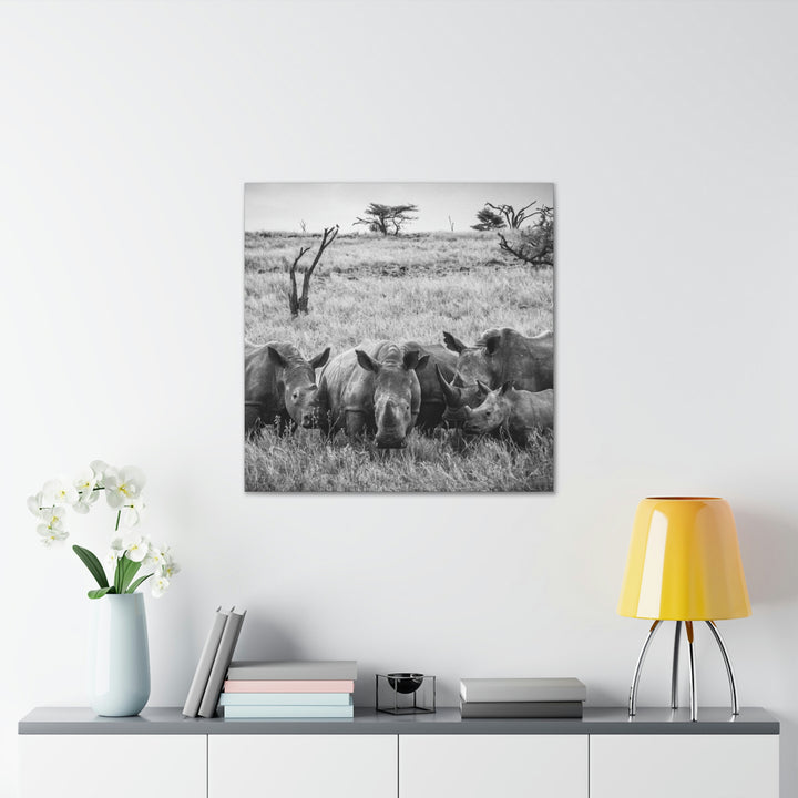 Rhino Family in Black and White - Canvas