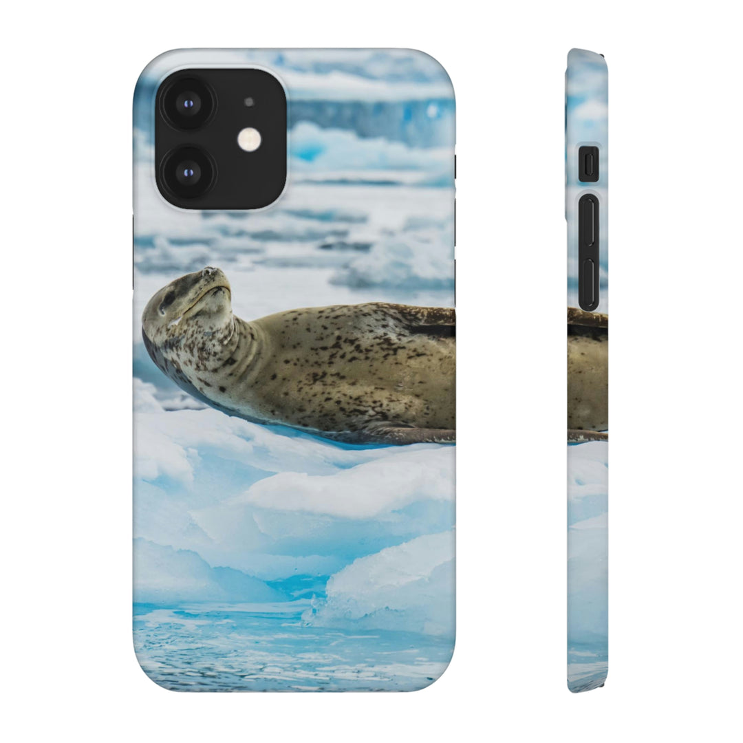 Leopard Seal Relaxing - Phone Case