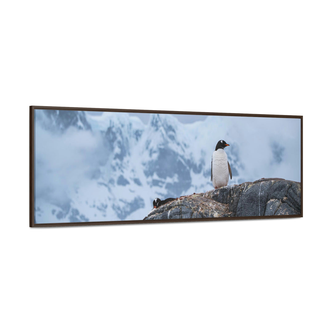 Poised Penguin - Canvas with Frame