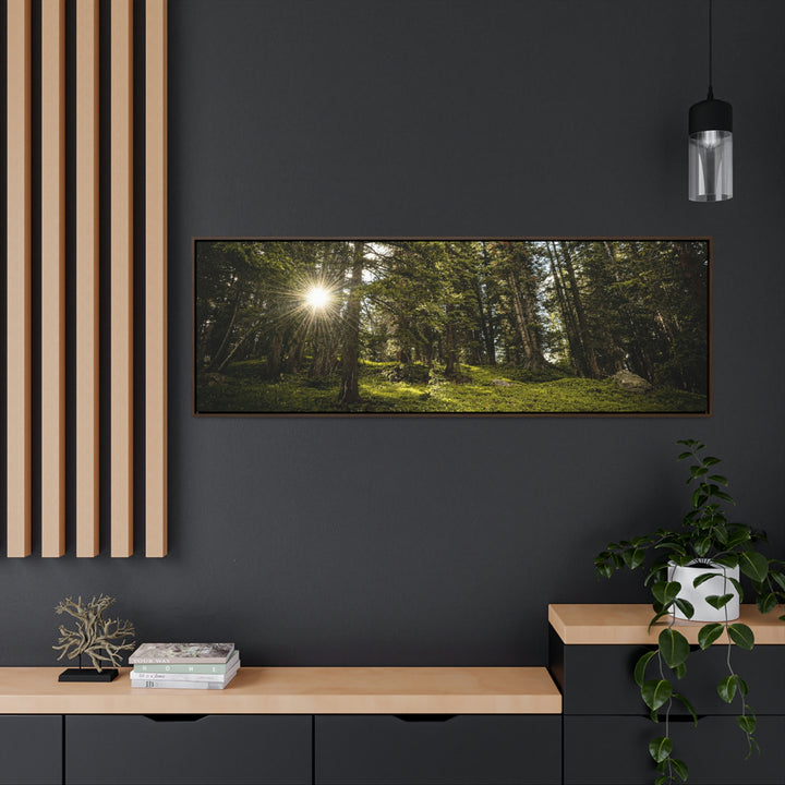 Forest Light - Canvas with Frame