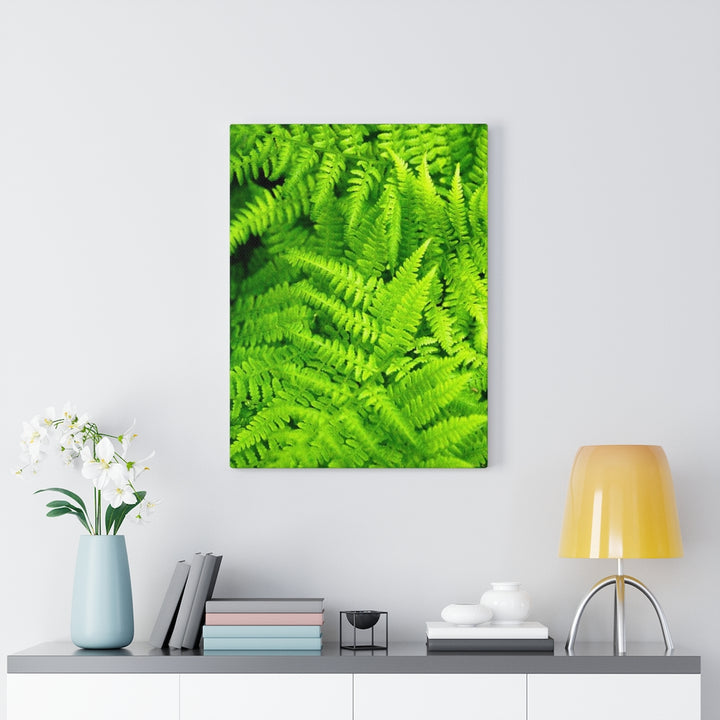 Ferns, Ferns, Ferns - Canvas