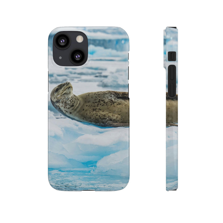 Leopard Seal Relaxing - Phone Case