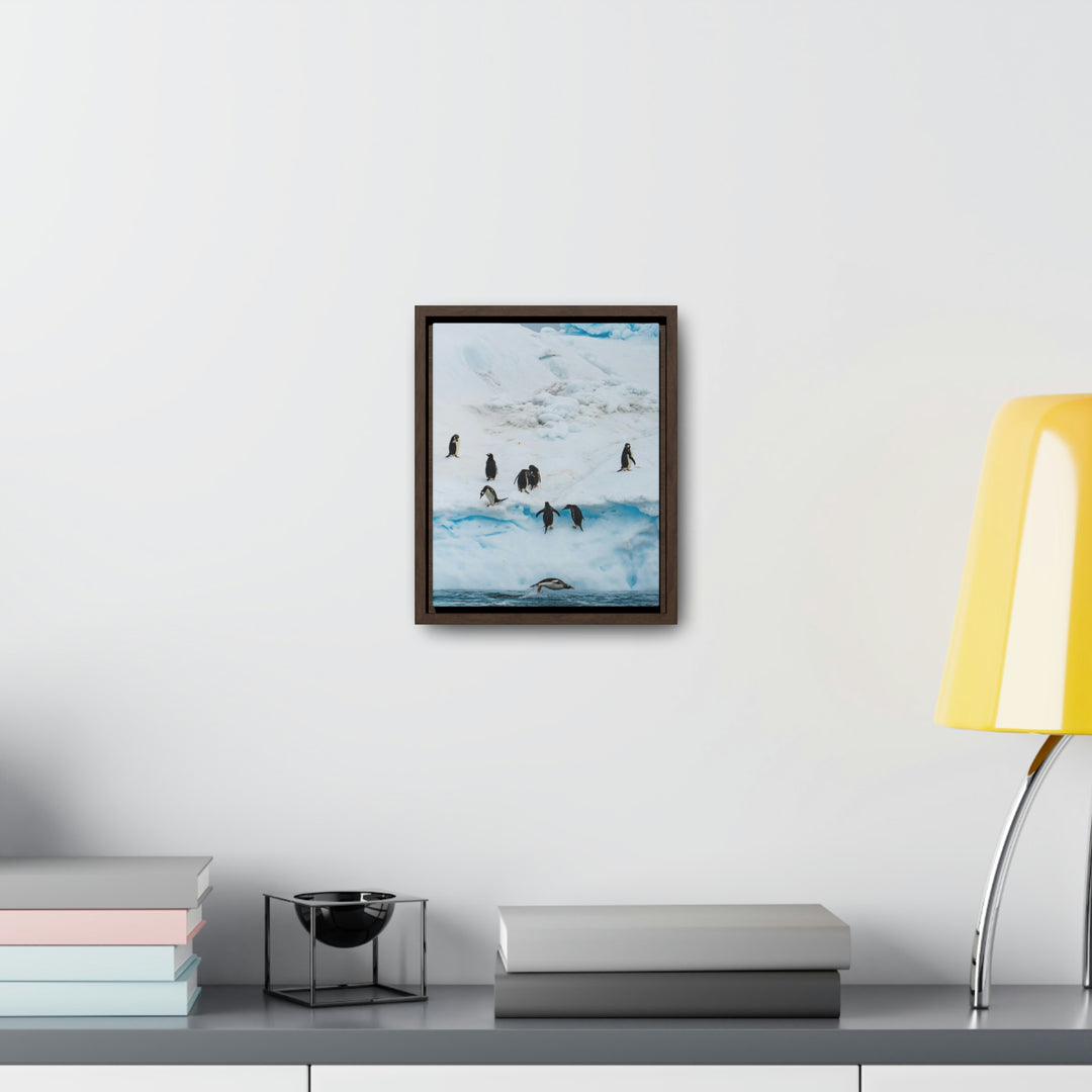 Porpoising Penguin - Canvas with Frame