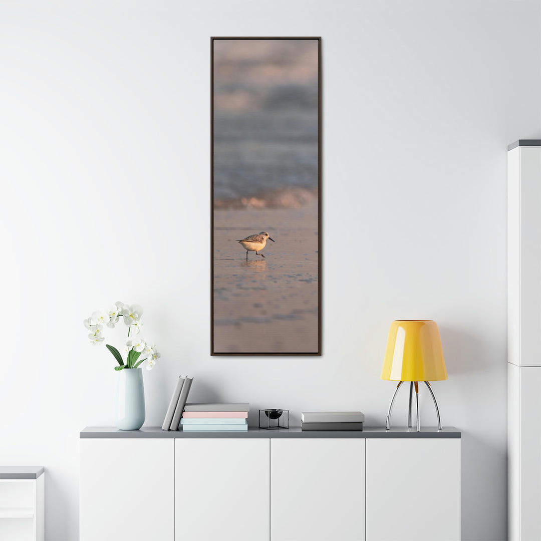 Sanderling in Soft Dusk Light - Canvas with Frame