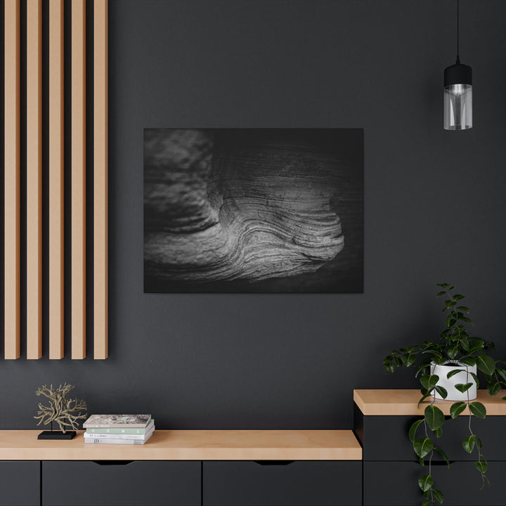 Sedimentary Rock Curves in Black and White - Canvas