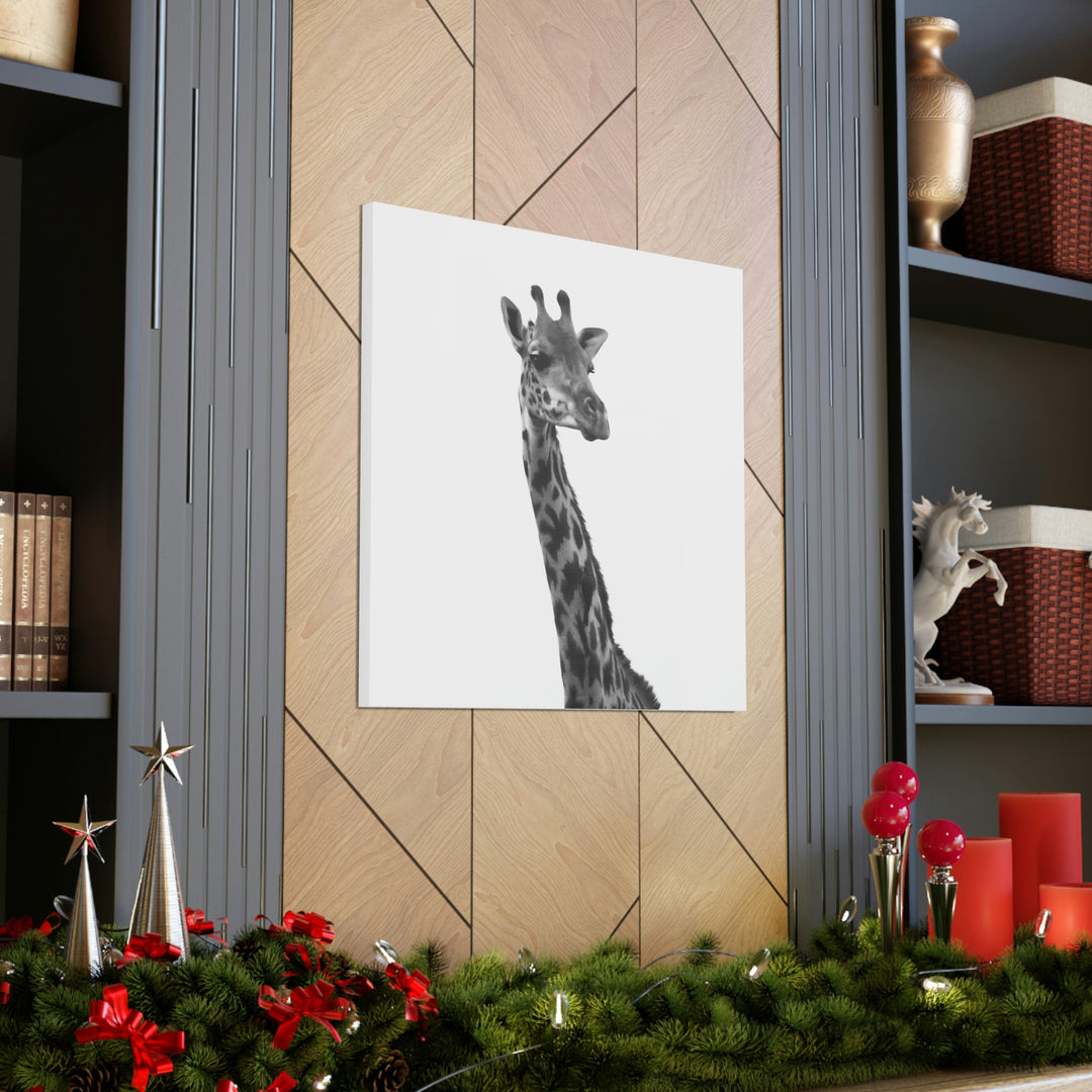 Giraffe Portrait in Black and White  - Canvas