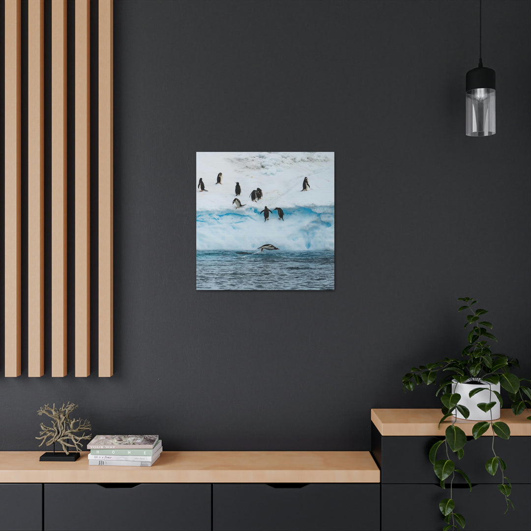 Porpoising Penguin - Canvas