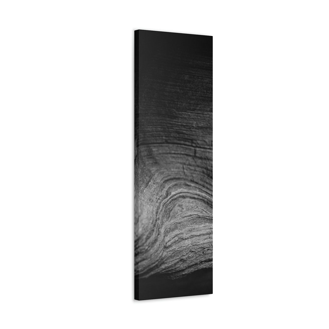 Sedimentary Rock Curves in Black and White - Canvas