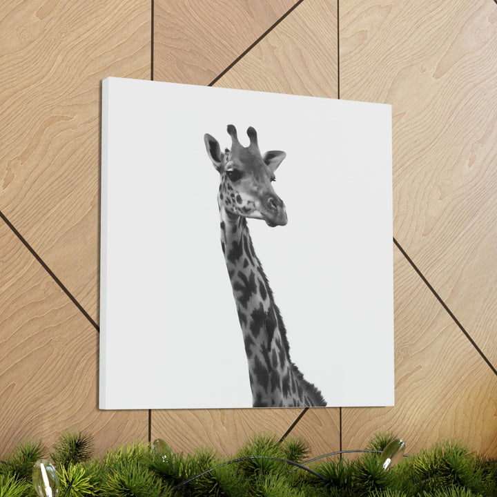 Giraffe Portrait in Black and White  - Canvas