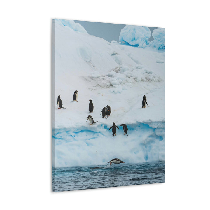 Porpoising Penguin - Canvas