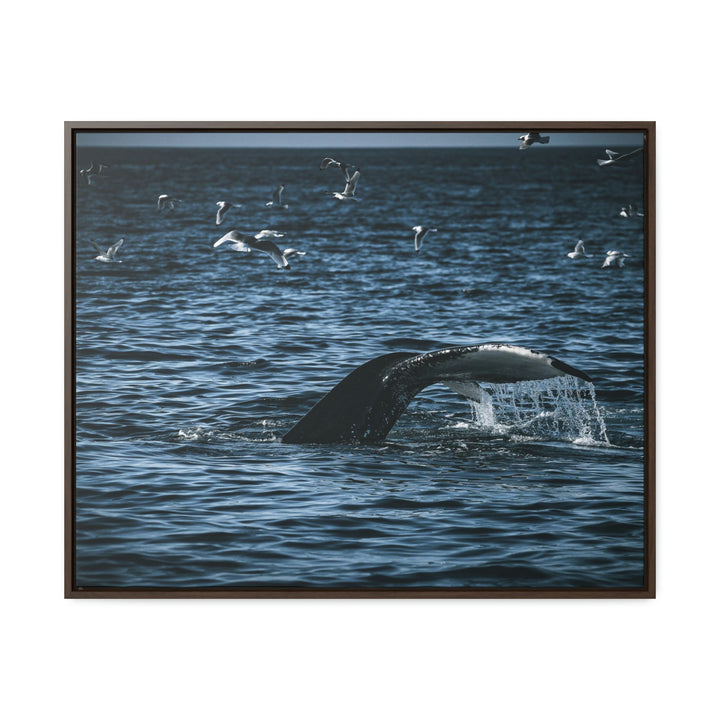 Feeding Tail - Canvas with Frame