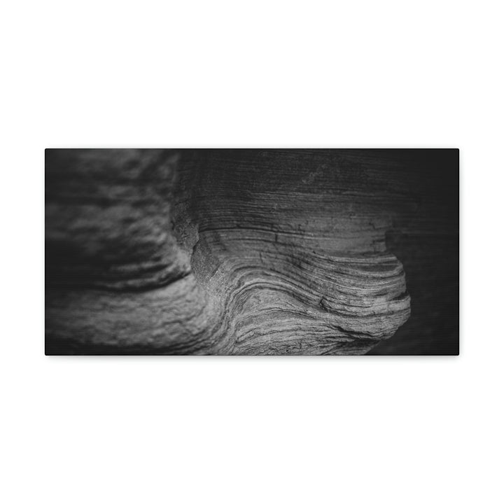 Sedimentary Rock Curves in Black and White - Canvas