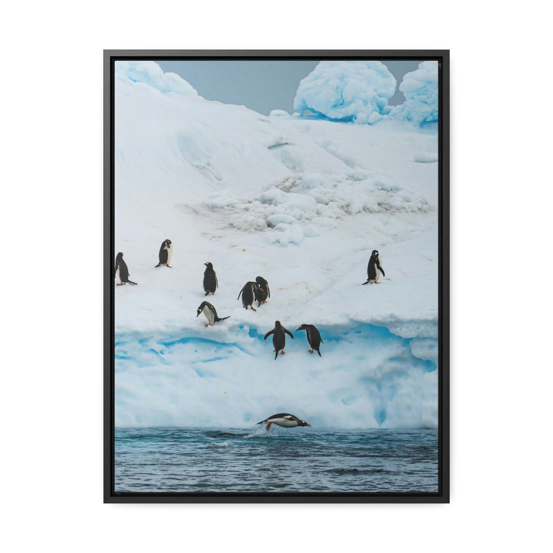 Porpoising Penguin - Canvas with Frame