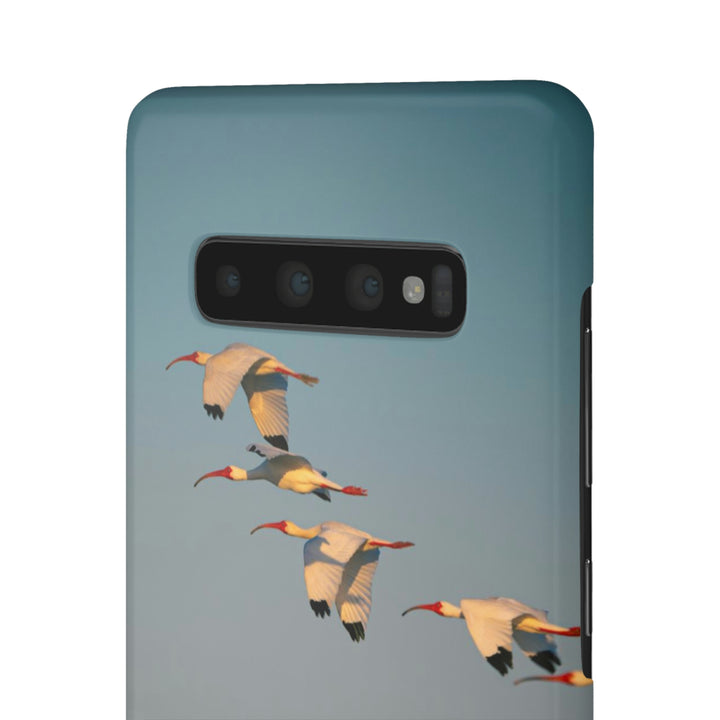 White Ibis in Flight - Phone Case