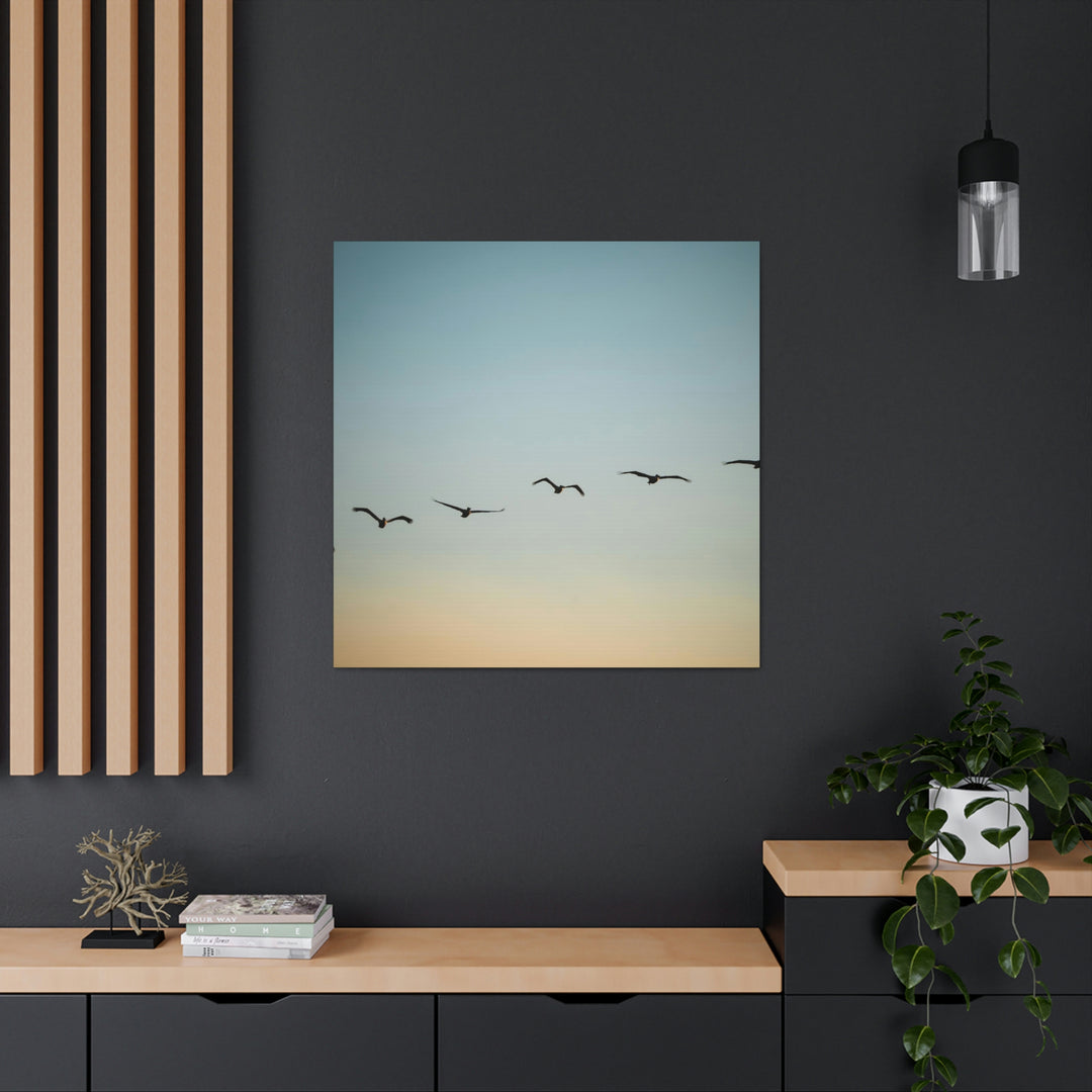 Brown Pelicans in Flight - Canvas