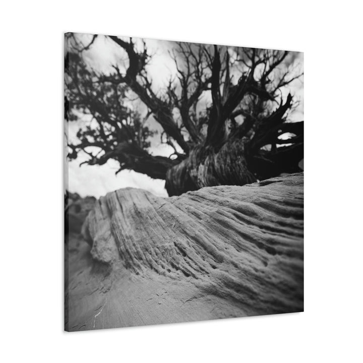 Desert Reach in Black and White - Canvas