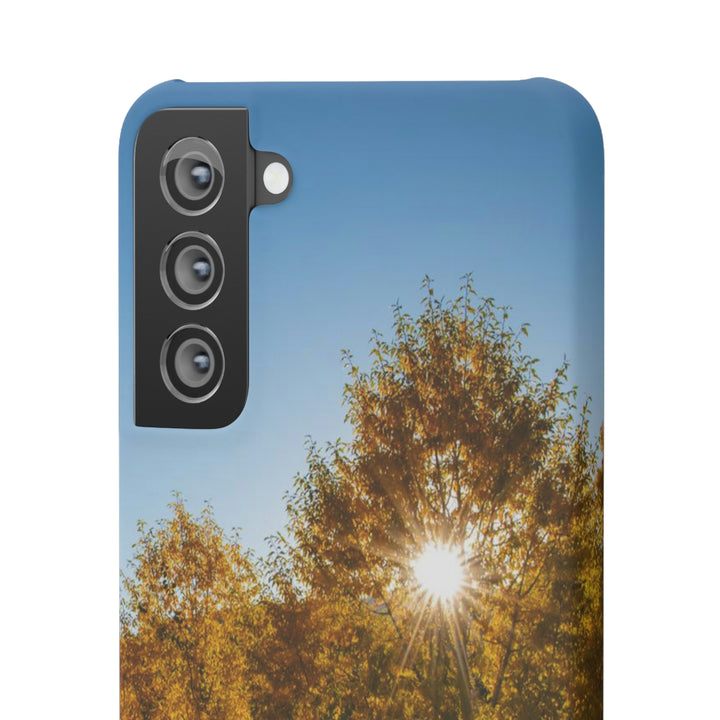 Sun Through the Aspens - Phone Case