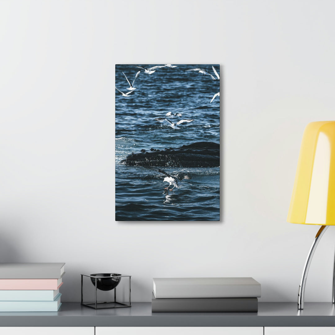 Humpback Hello - Canvas