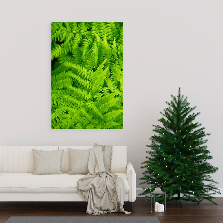 Ferns, Ferns, Ferns - Canvas