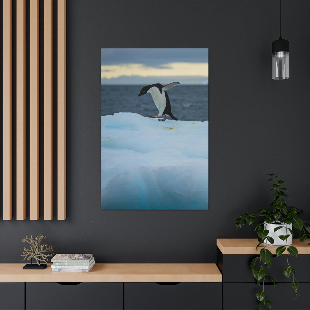 Penguin Dance - Canvas