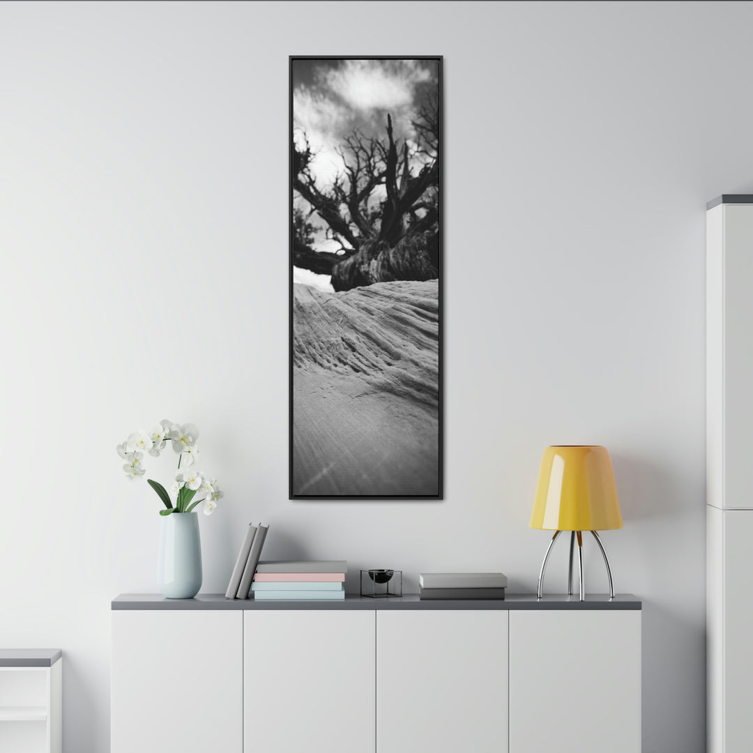 Desert Reach in Black and White - Canvas with Frame