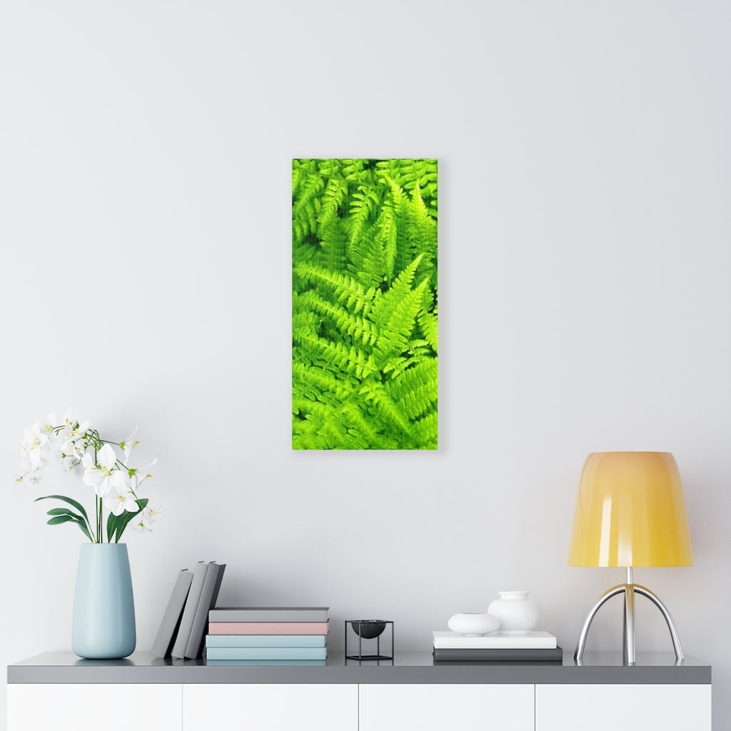 Ferns, Ferns, Ferns - Canvas