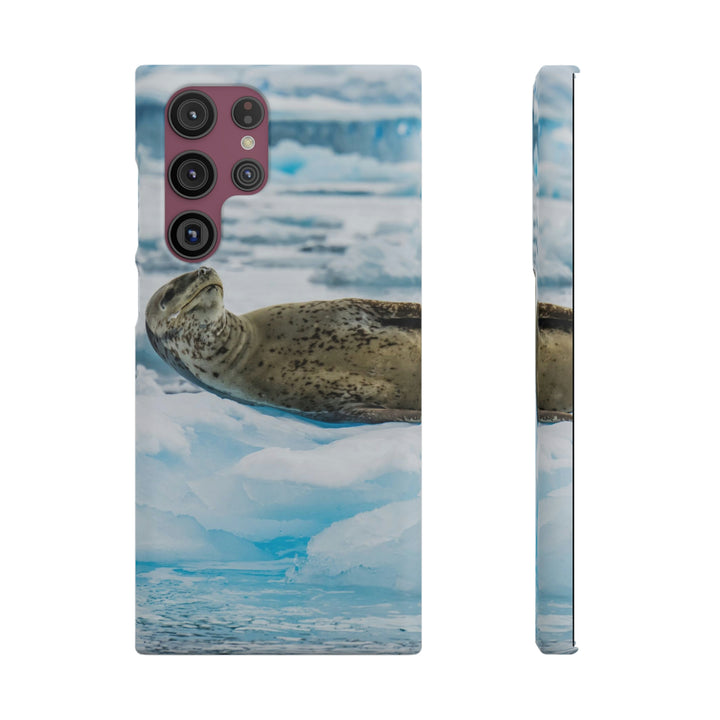 Leopard Seal Relaxing - Phone Case