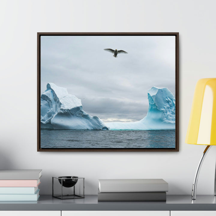 Antarctic Flight - Canvas with Frame